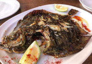 Rodaballo Stein Butt Turbot fish