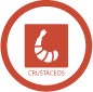 crustaceos-mariscos